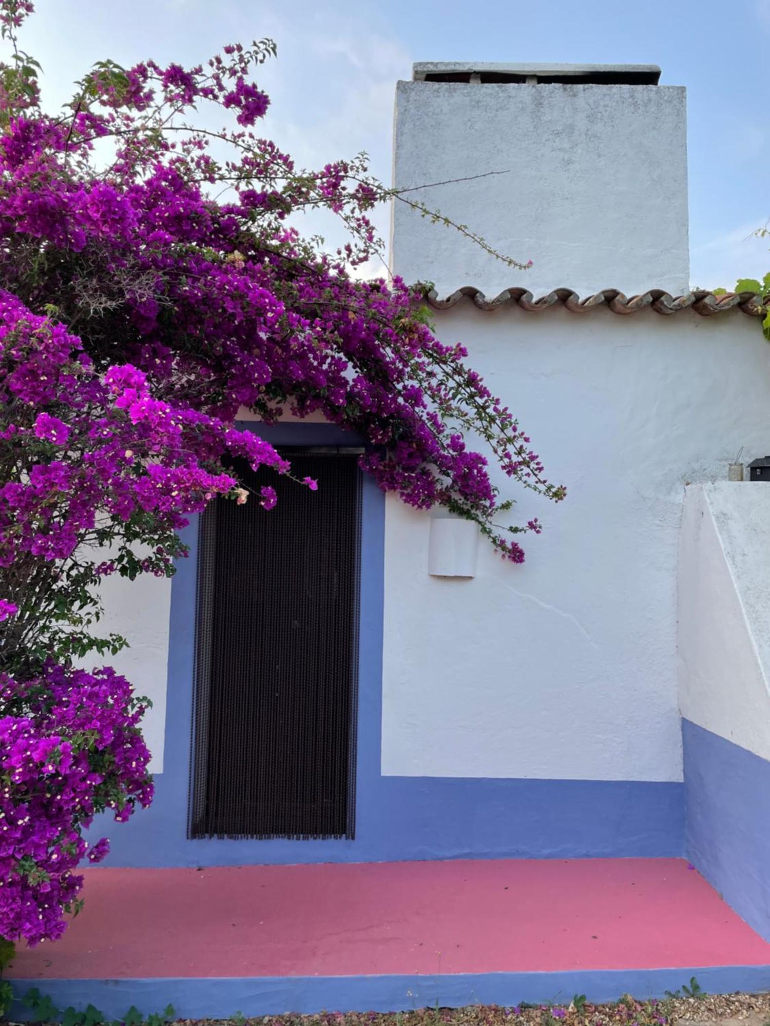 Courela Do Monte Novo Villa Santa Suzana Dış mekan fotoğraf